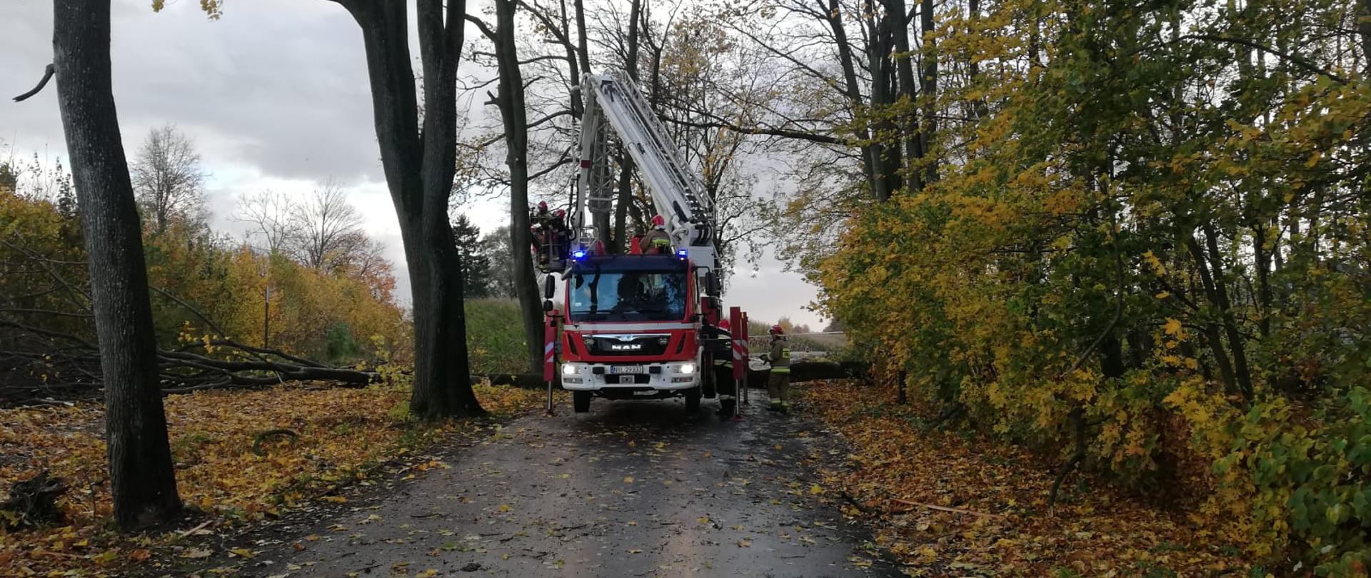 Strażacy podczas usuwania skutków wichury 