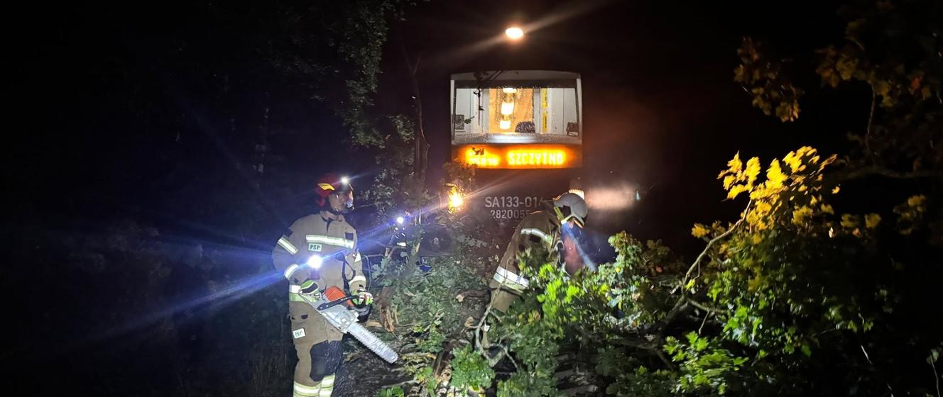 Szynobus relacji Braniewo – Szczytno uderzył w drzewo leżące na torach pod Lipowiną