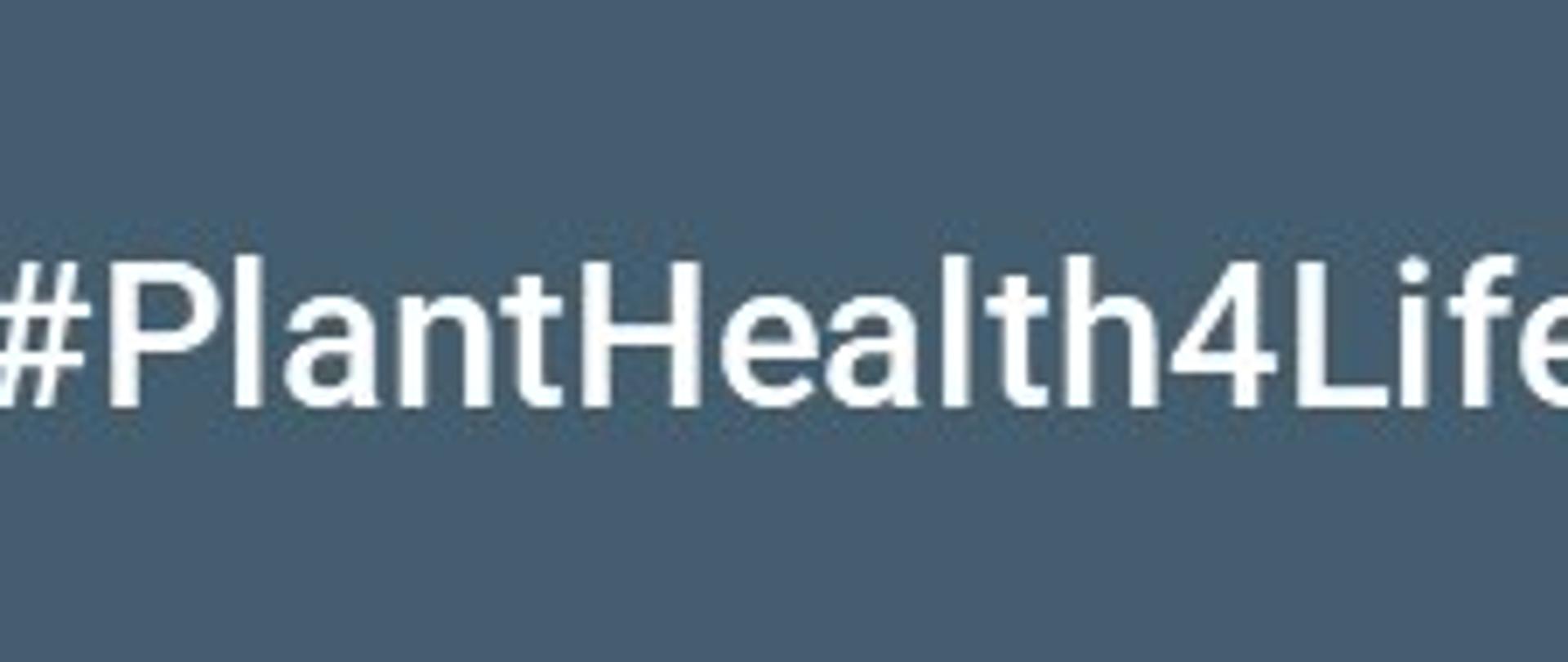 na szarym tle biały napis