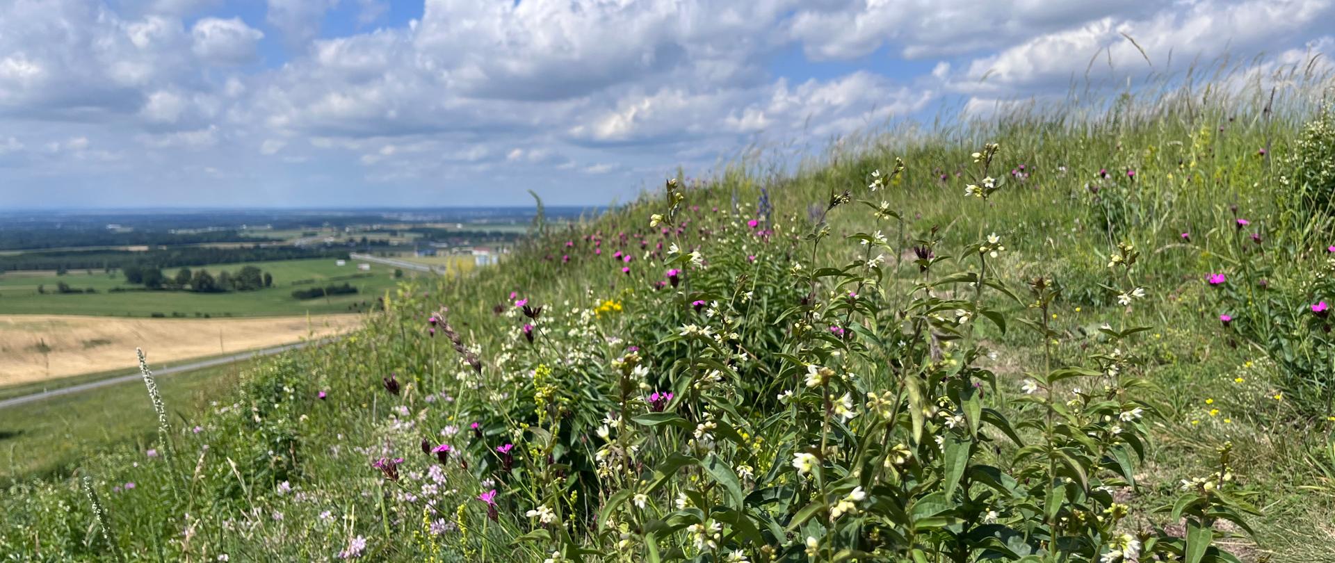 zdjęcie_na_strone_tytułową