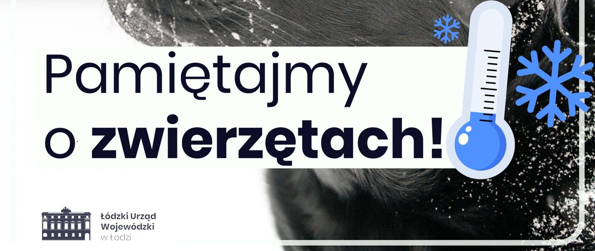 Grafika - pamiętajmy o zwierzętach! 