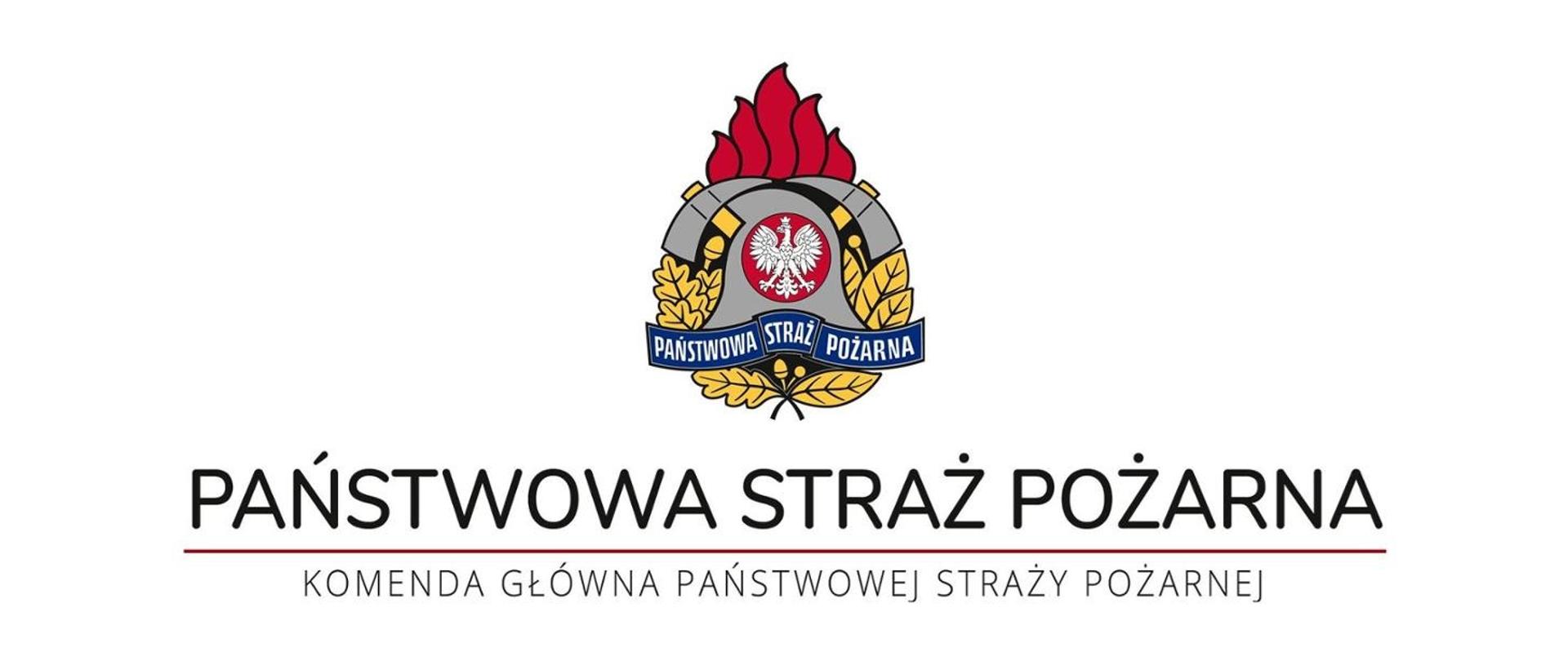 Grafika z logiem PSP i napisem PSP