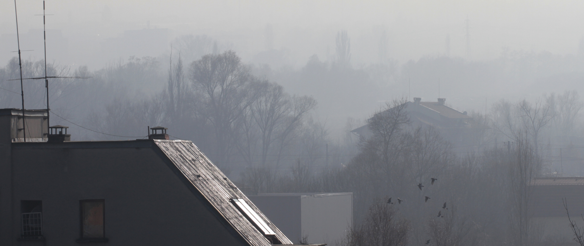 WHO o ryzyku związanym z zanieczyszczeniem powietrza w Polsce