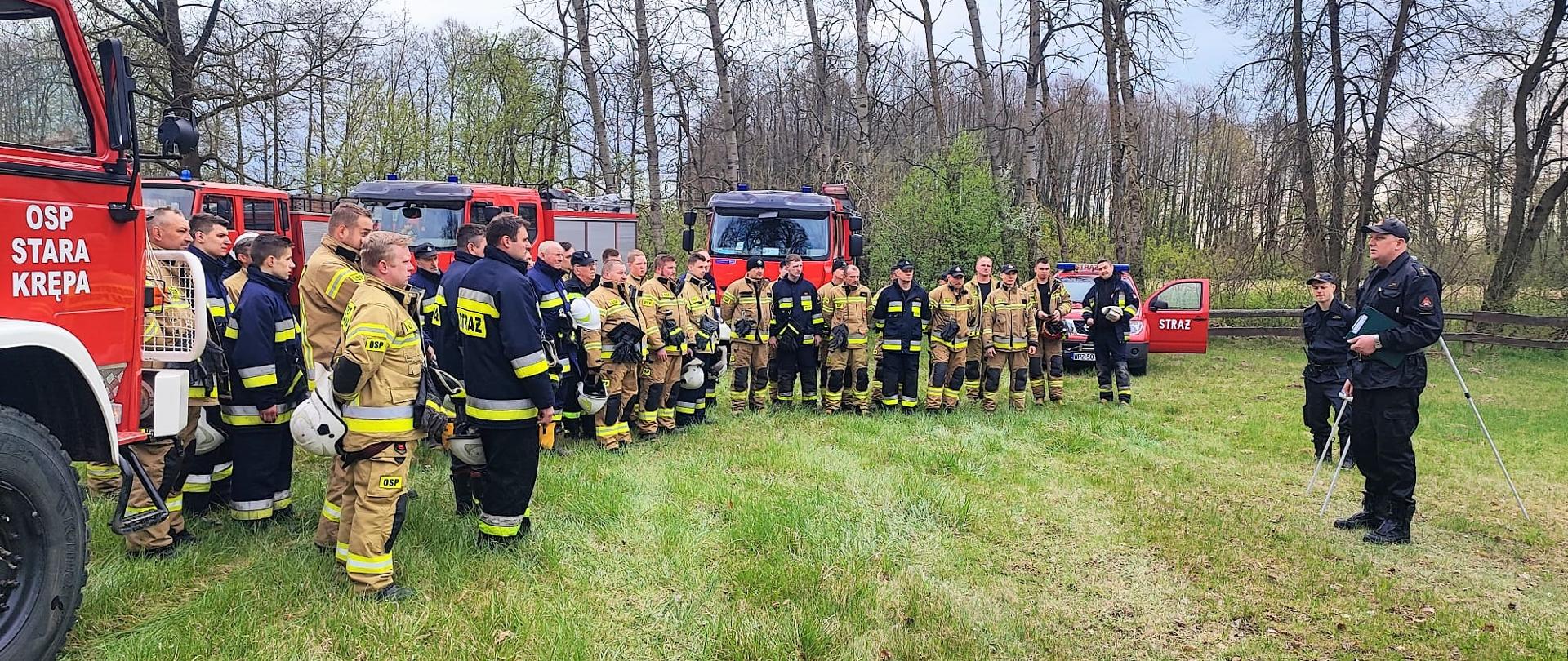 Pożar lasu w miejscowości Przejmy - Zdjęcie