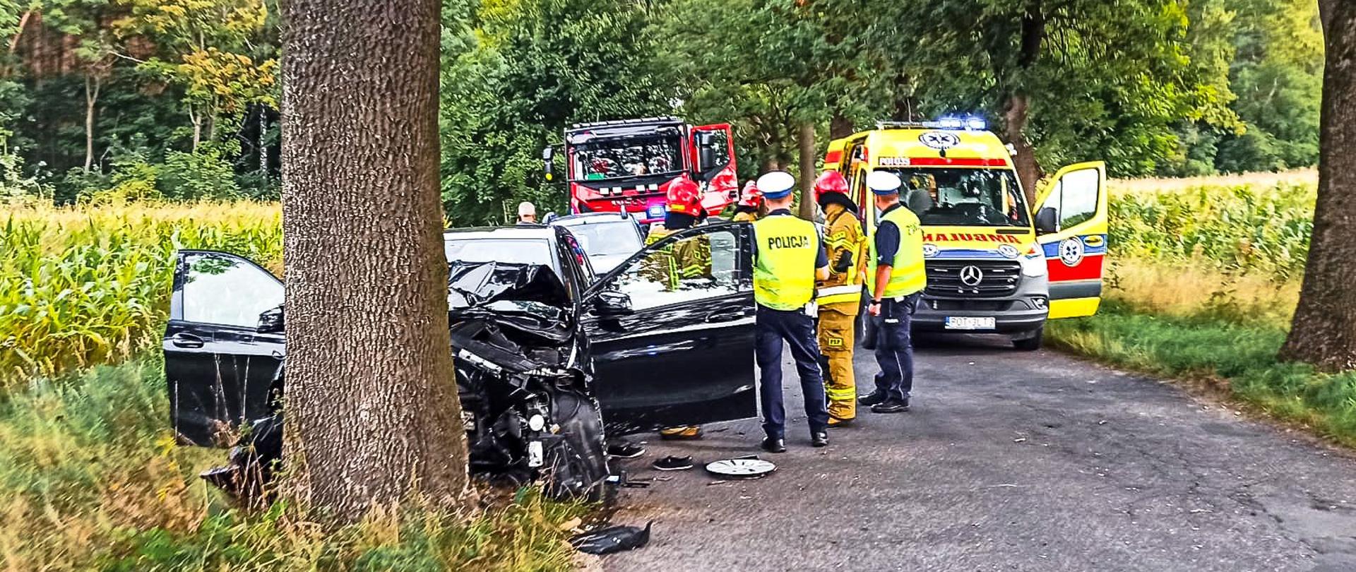 Samochód osobowy po uderzeniu w drzewo stoi na poboczu, na jezdni znajdują się strażacy, policjanci i ratownicy medyczni.