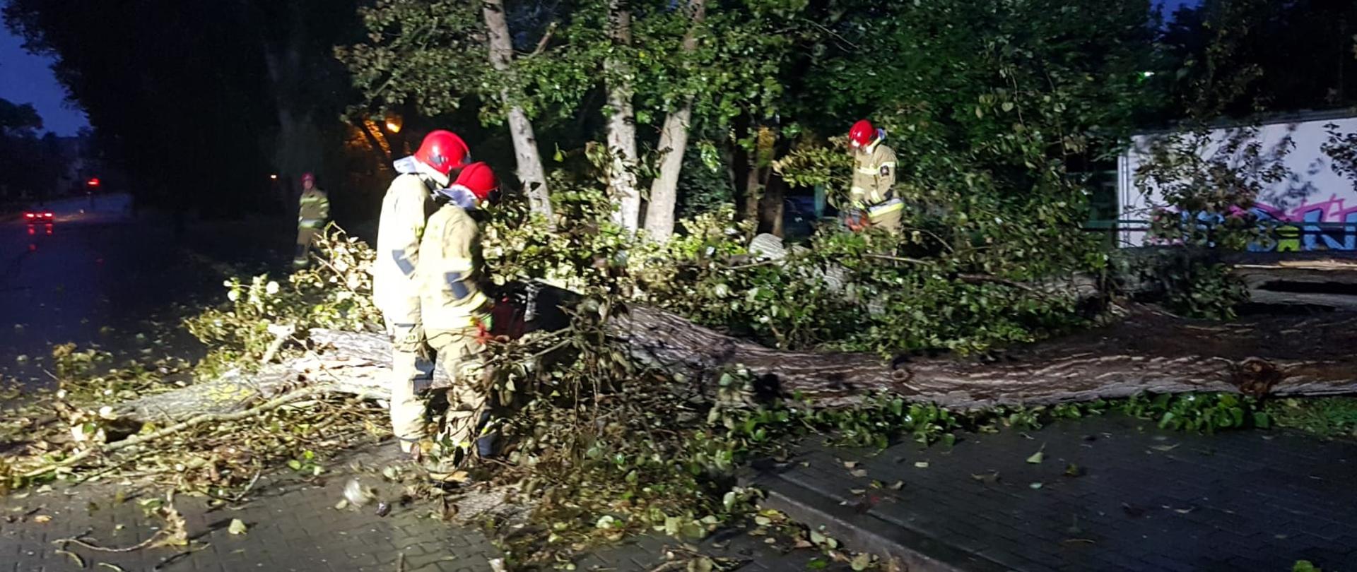 Zdjęcie przedstawia prace strażaków podczas usuwania powalonego drzewa na ul. Polną. Jeden z nicz tnie powalone drzewo na kawłki a pozostali przenoszą je na pobocze.