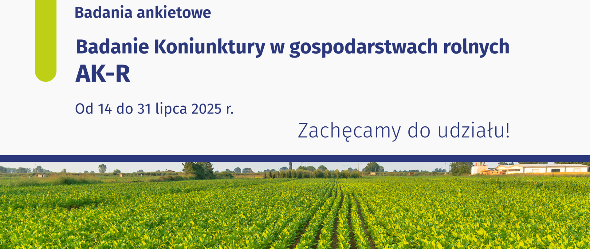 Plansza_Badanie AK-R