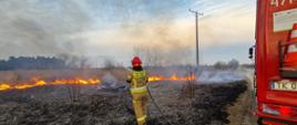 Zdjęcie zrobione w dzień. Na zdjęciu widać pożar trawy