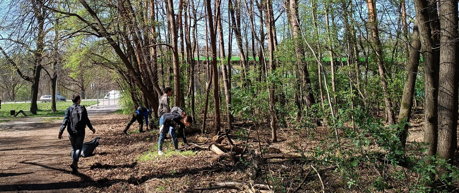 Kilka osób pochyla się zbierając śmieci w lesie