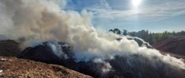 Zdjęcie przedstawia sterty biomasy. Na jedną ze stert unosi się gęsty dym. 