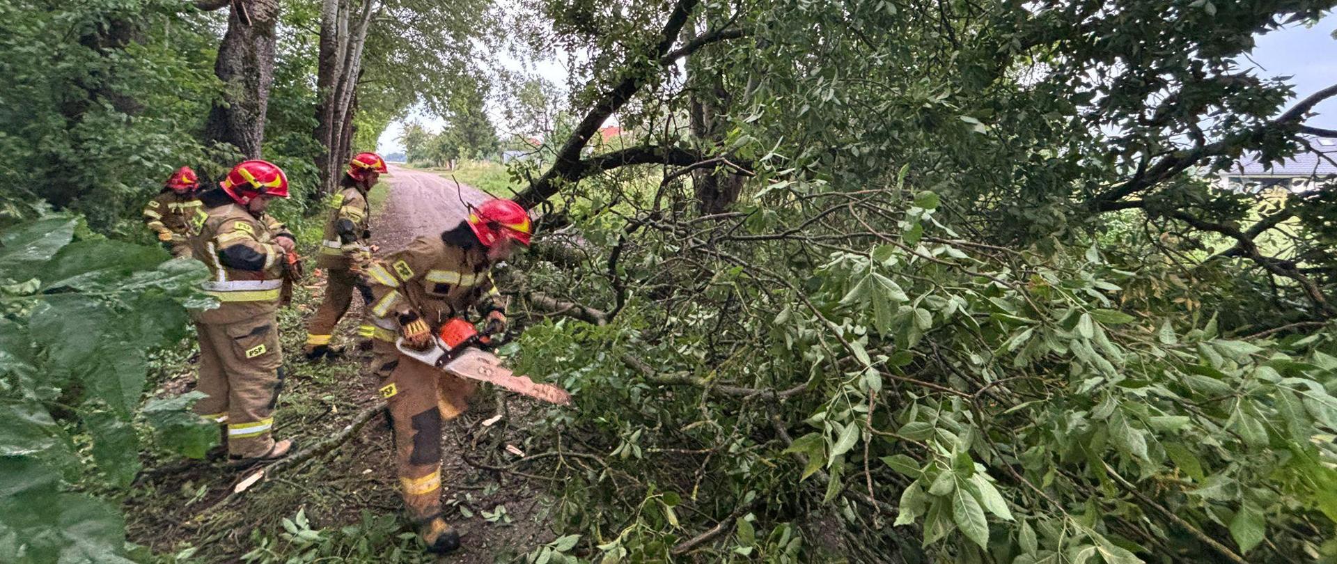 Strażacy przycinają powalone drzewo