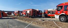 Zdjęcia przedstawia 6 wozów bojowych Państwowej Straży Pożarnej i Ochotniczych Straży Pożarnych rozstawione na pasie drogi ekspresowej S-19 podczas prowadzonych ćwiczeń. Wokół samochodów są rozwinięte linie gaśnicze, po lewej stronie rozstawiono namioty Polskiego Czerwonego Krzyża, między pojazdami stoi dwóch strażaków. 