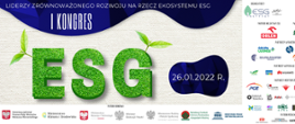 kongres ESG - grafika