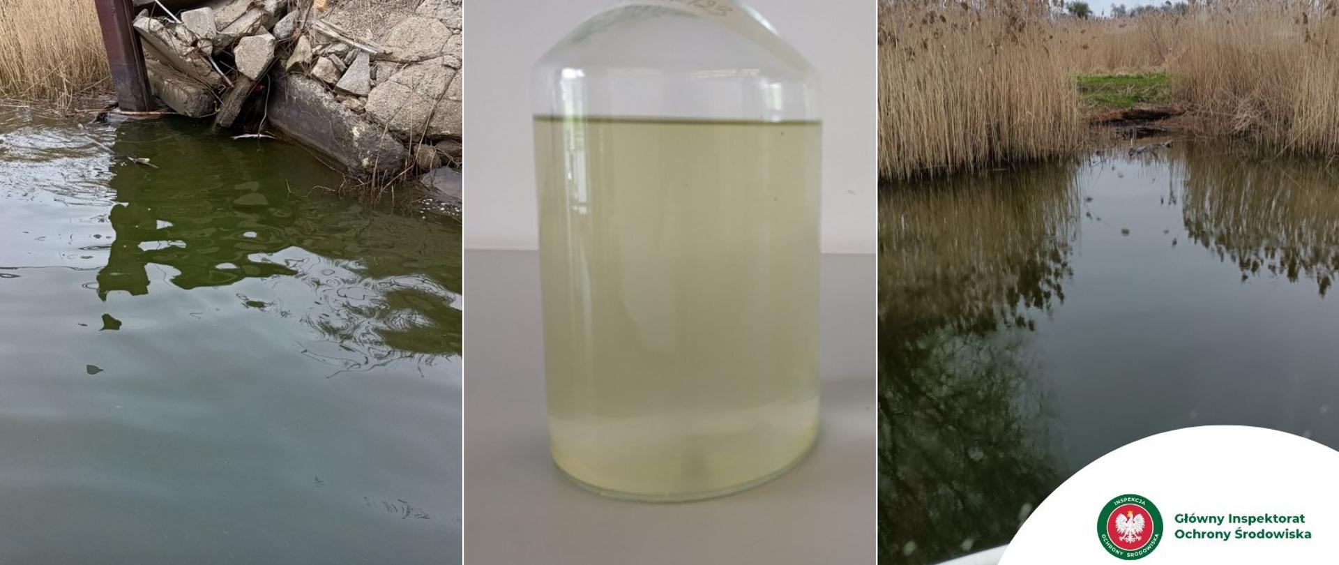 Badania próbek wody ze zbiornika Czernica na Dolnym Śląsku.