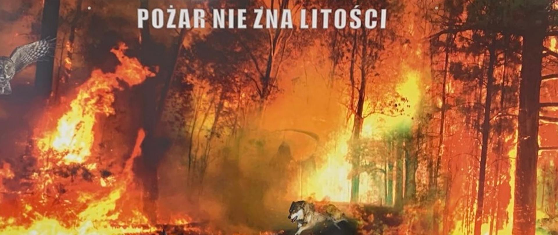 Otwarcie sali edukacyjnej dla mieszkańców powiatu oleśnickiego