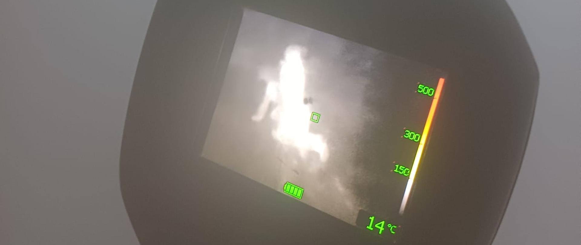 Strażacy i druhowie podczas ćwiczeń