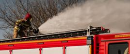 Strażak w żółtym mundurze i czerwonym hełmie stoi na dachu wozu strażackiego i kieruje strumień wody z działka wodnego. W tle bezlistne gałęzie drzew i błękitne niebo.