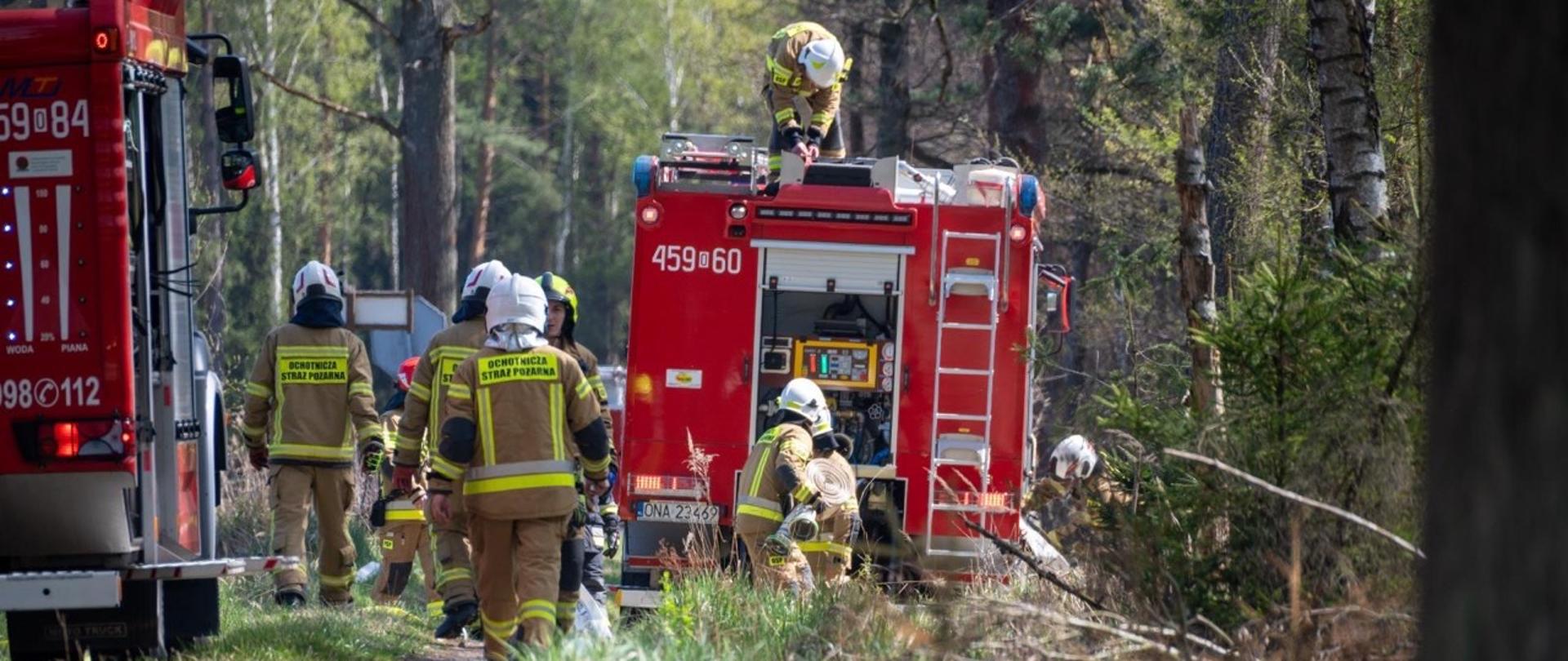 Dwa czerwone wozy pożarnicze stoją na leśnej drodze. Strażacy w jasnych ubraniach specjalnych rozwijają węże i przygotowują sprzęt. Jeden ratownik pracuje na dachu pojazdu. To fragment działań taktycznych w terenie leśnym.