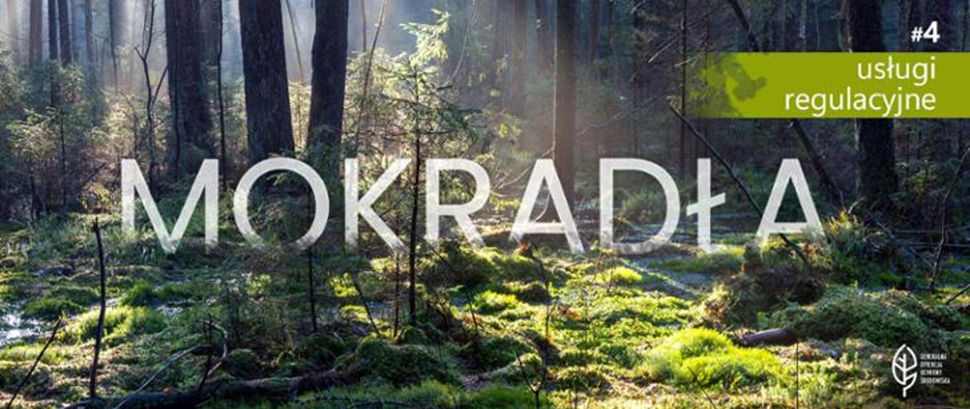Zdjęcie przedstawia podmokły las. Przez korony wysokich drzew przebijają się promienie słoneczne. Runo leśne jest gęsto porośnięte zielonym mchem. Widać młode drzewka, paprocie oraz powalone gałęzie i konary. Na zdjęciu nałożone są napisy: na samym środku wielki, biały półprzezroczysty napis "MOKRADŁA" . W prawym górnym rogu jasnozielony pasek z białym napisem "#4 usługi regulacyjne". W prawym dolnym rogu znajduje się biały logotyp Generalnej Dyrekcji Ochrony Środowiska (biały liść)