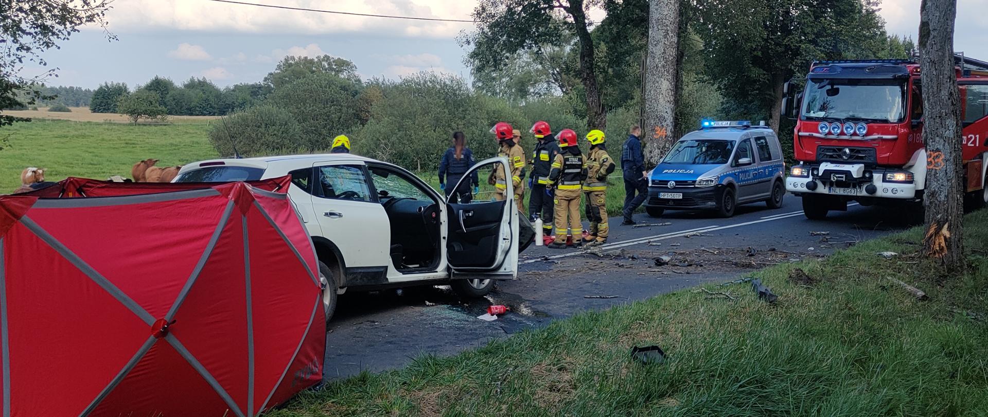 Wypadek DW513 – kierowca zginął w wypadku samochodowym