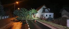 Zdjęcie przedstawia drzewo przewrócone na drogę obok budynku mieszkalnego. Jest noc.