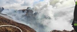 Zdjęcie przedstawia pożar sterty biomasy. Nad biomasą unosi się gęsty dym. Na zdjęciu widać strażaków którzy gaszą pożar.
