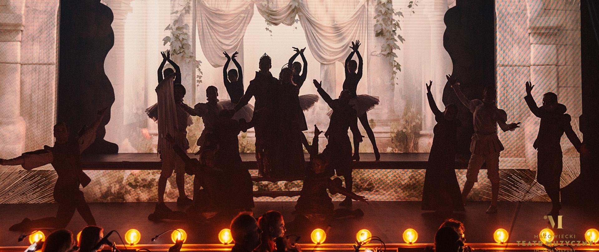  spektakl „Dzikie łabędzie” 