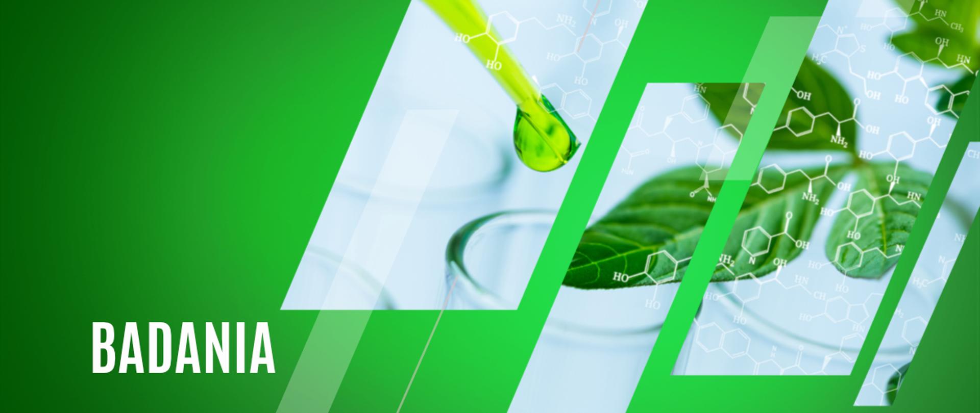 badania