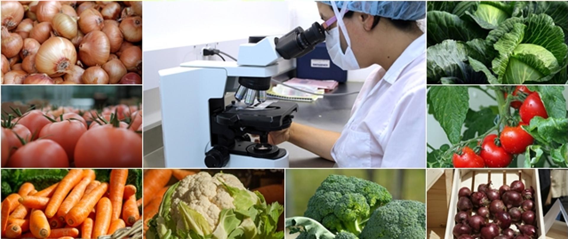 Kolaż - warzywa pod kontrolą