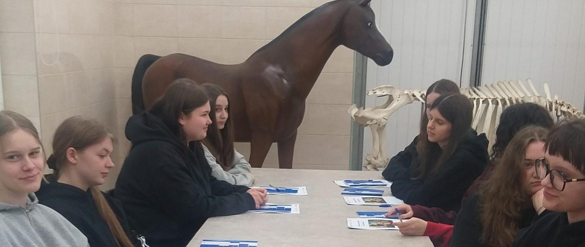 Kurs groomerski 2026