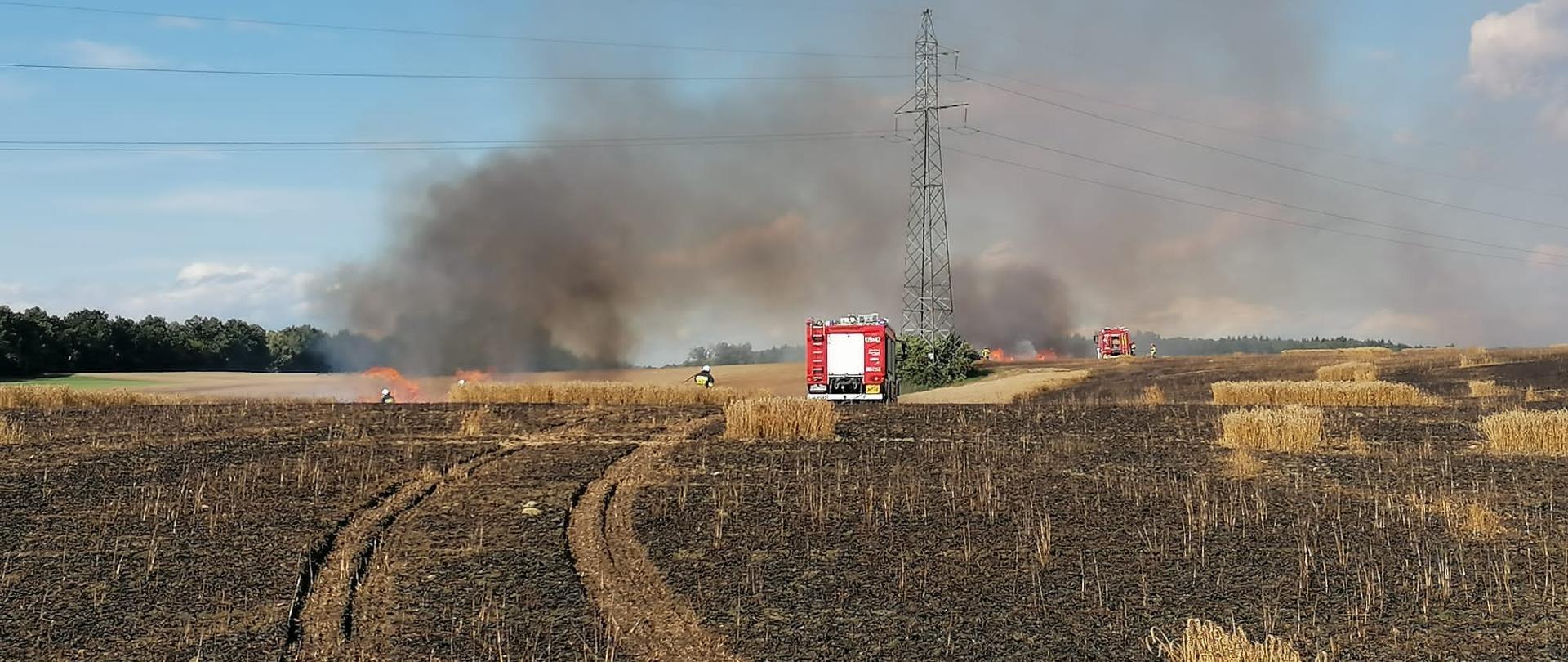Pożar rżyska. Na zdjęciu spalone pole zboża, w oddali samochody strażackie i dym.