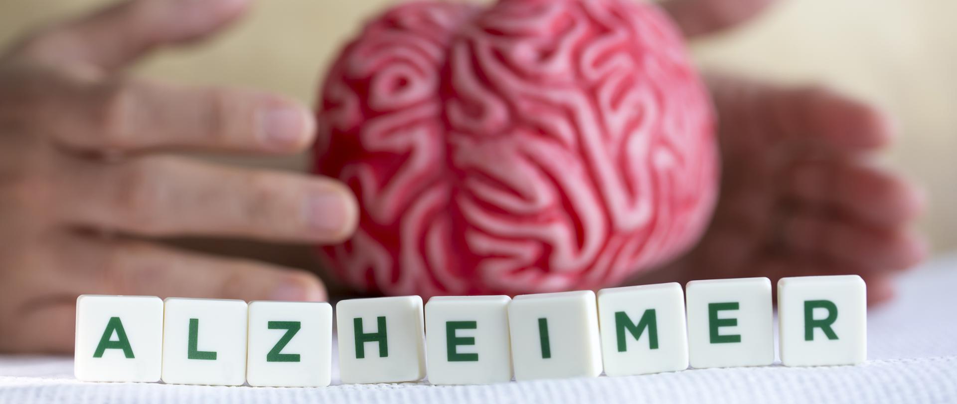 Napis alzheimer na tle dłoni, po między którymi znajduje się przedmiot przypominający ludzki mózg. 
