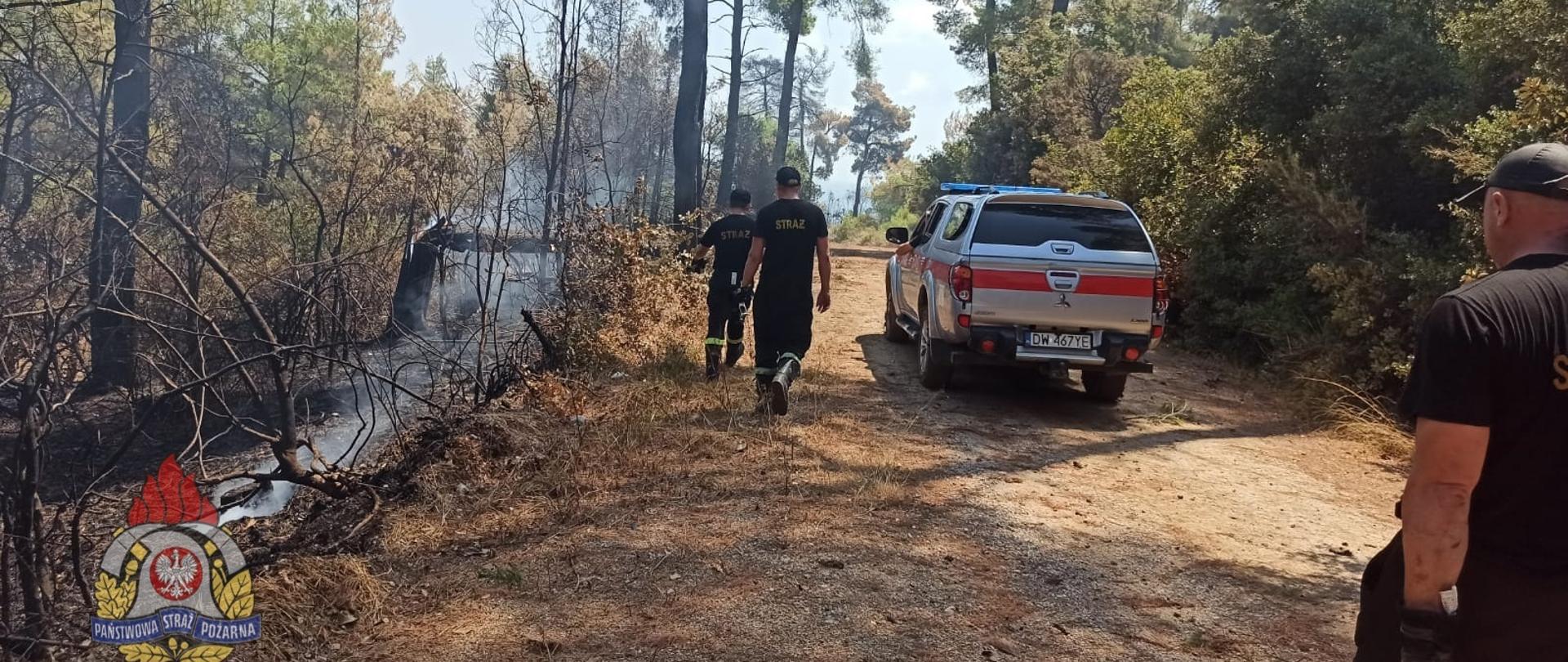 strażacy w czarnych spodniach, czarnej koszulce z krótkim rękawkiem idą po lesie w kierunku powalonego drzewa. W tle widać srebrny samochód strażacki