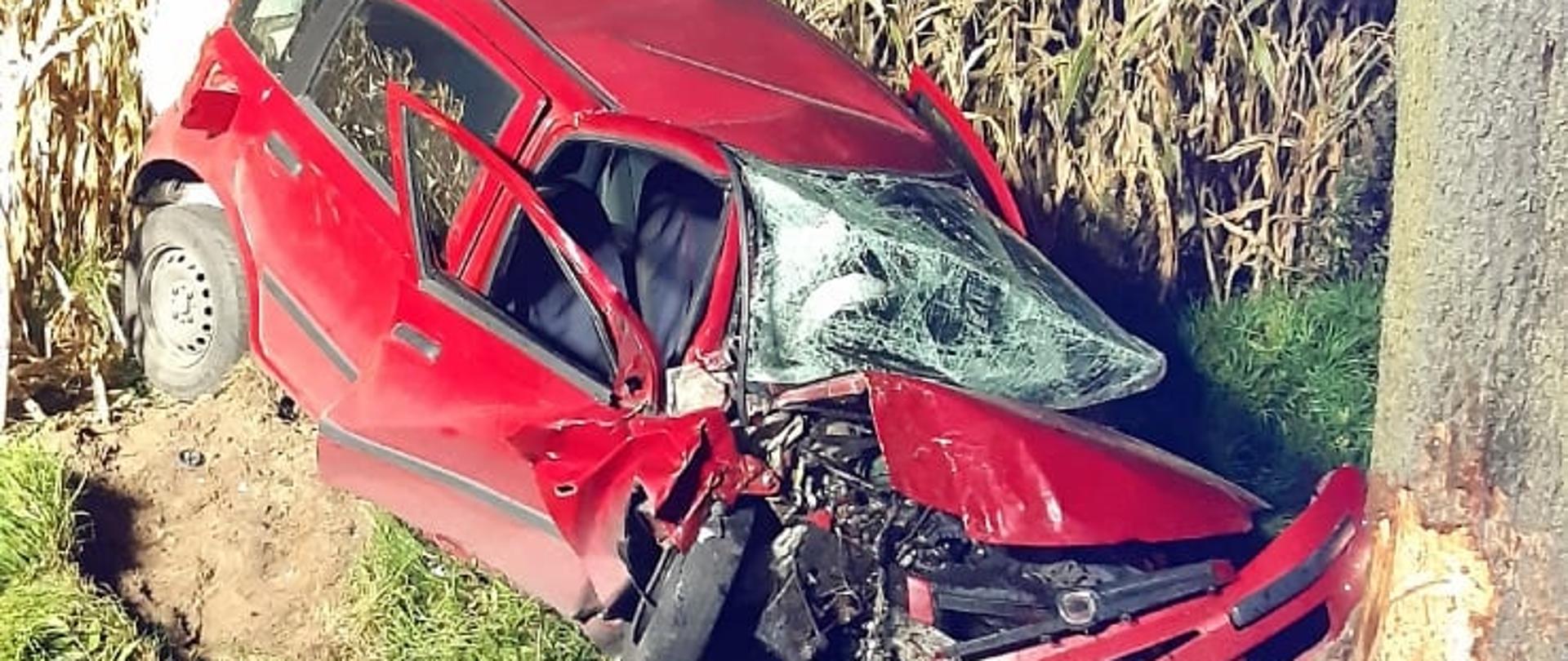 Na zdjęciu Widać rozbity samochód osobowy przy drzewie oraz część radiowozu 