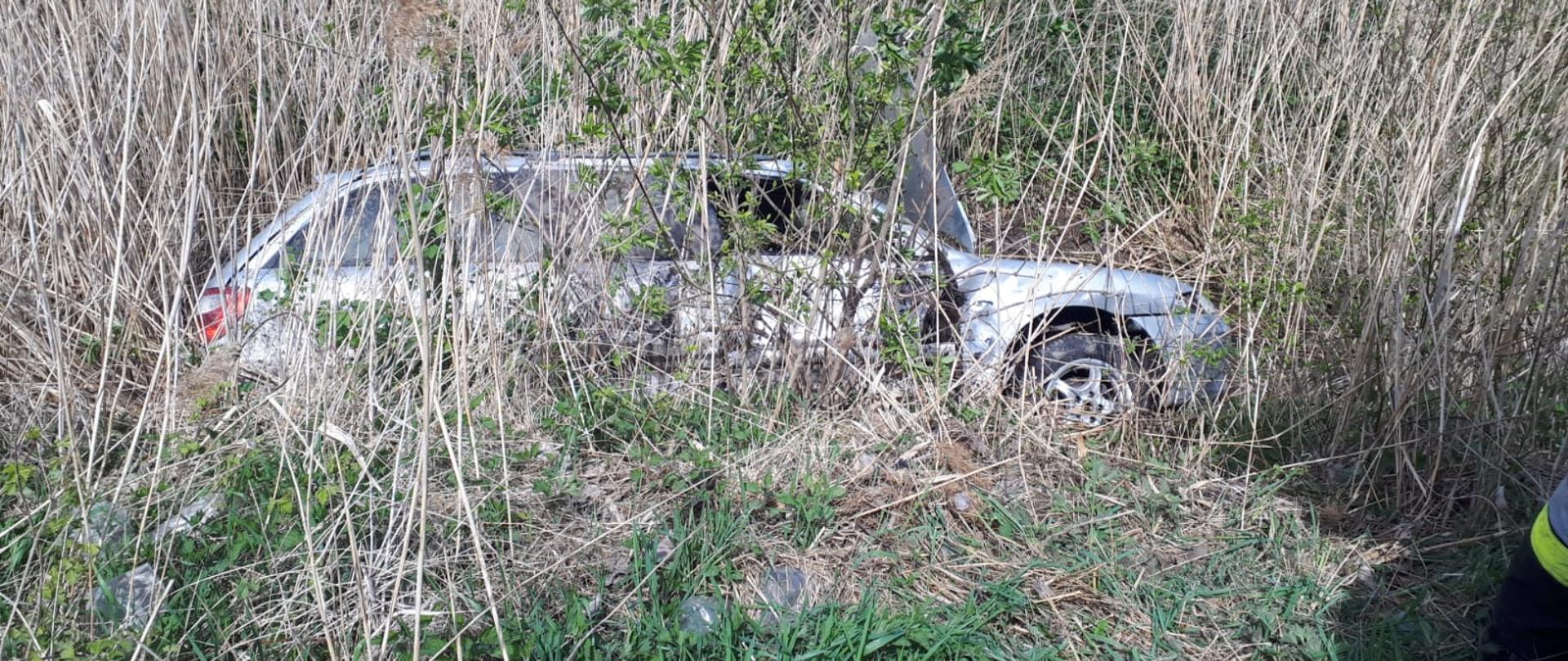 Samochód osobowy w zaroślach.