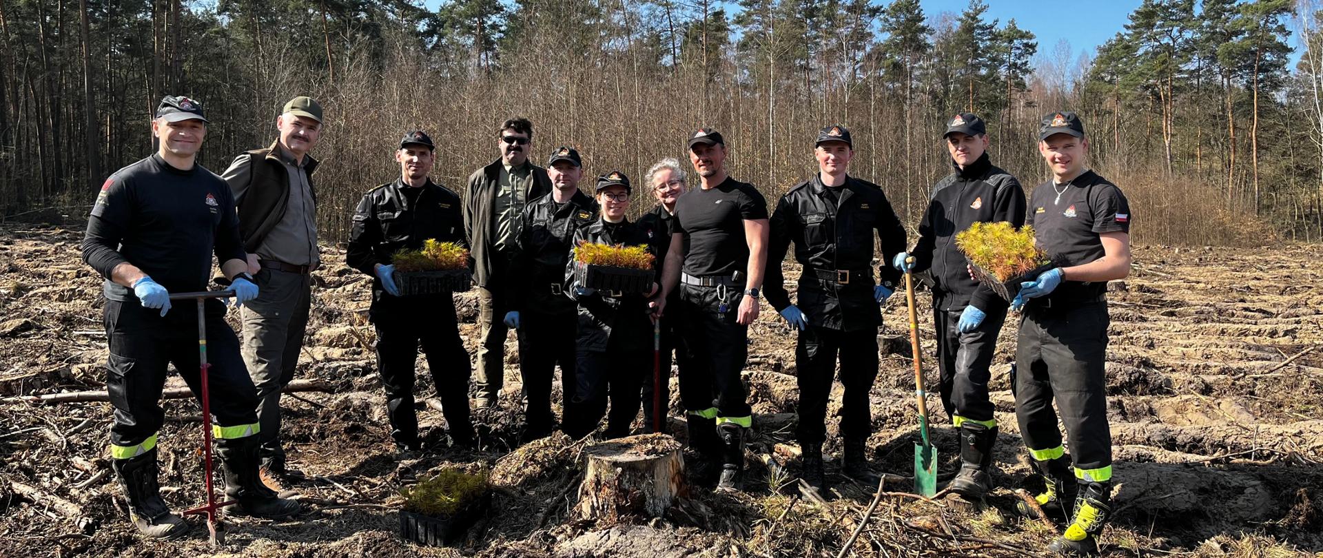 Zdjęcie przedstawia strażaków i pracowników Nadleśnictwa na tle zrębu przeznaczonego do nasadzenia lasu