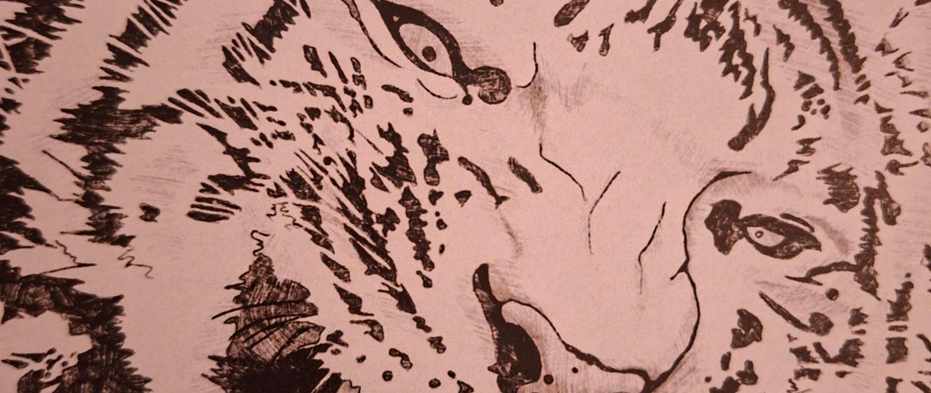 Ukazujący pysk tygrysa fragment grafiki promującej wystawę Marii Ginalskiej "Czarno-biały sen".