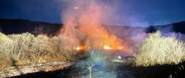 Palące się trawy i zarośla