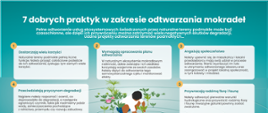 INFOGRAFIKA - 7 dobrych praktyk w zakresie odtwarzania mokradeł.