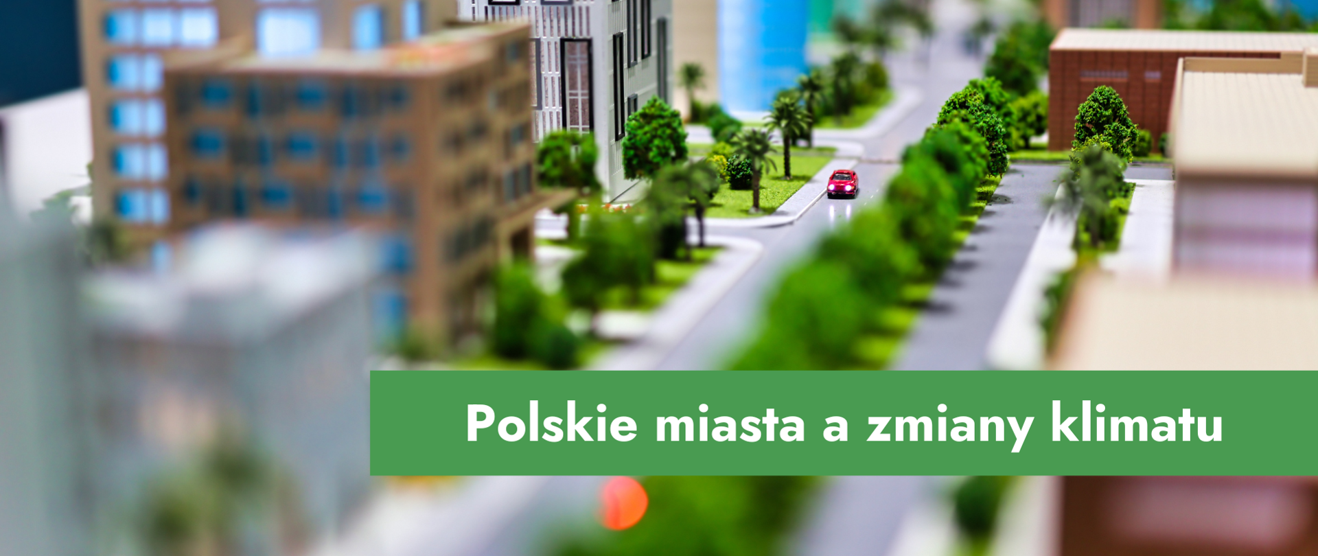 Grafika przedstawiające miasto z zieloną aleją i napis: Polskie miasta a zmiany klimatu 