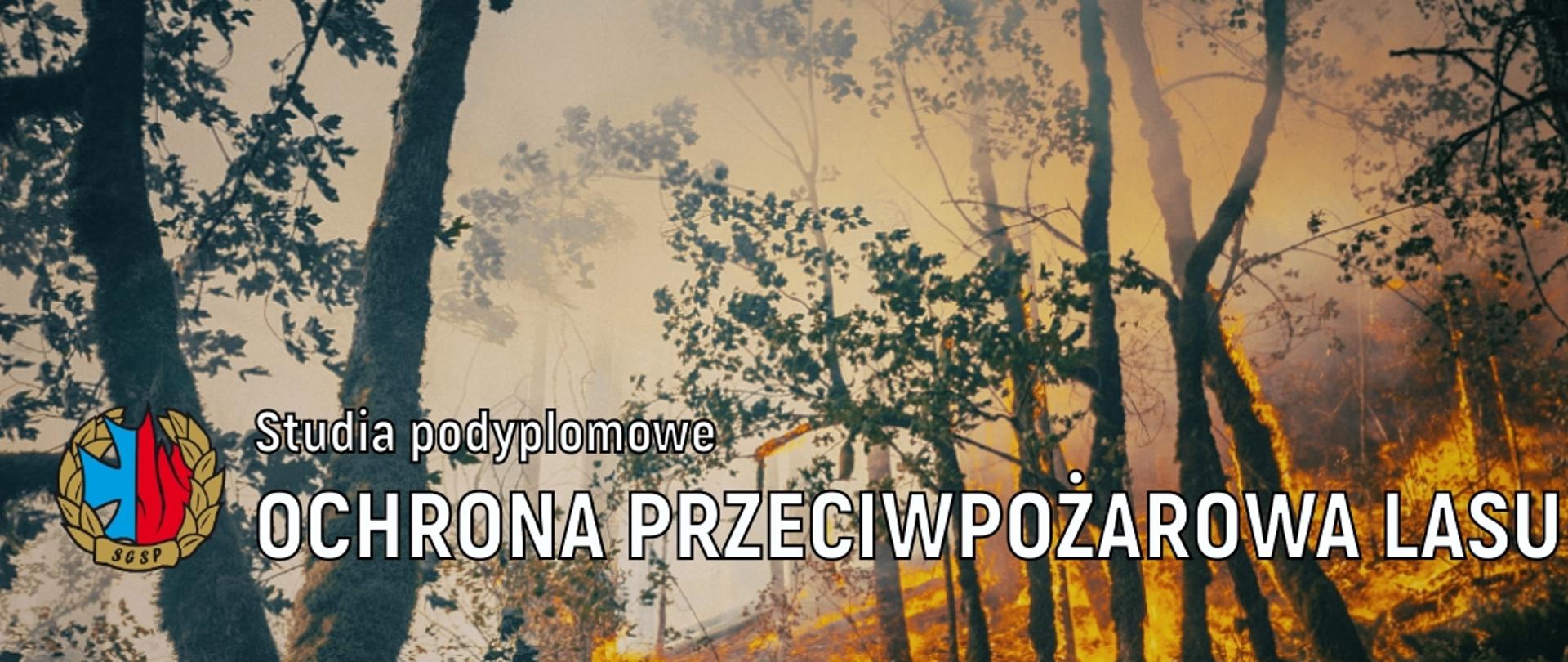 Baner reklamowy naboru na studia podyplomowe prowadzone przez SGSP. W tle banera pożar lasu. 