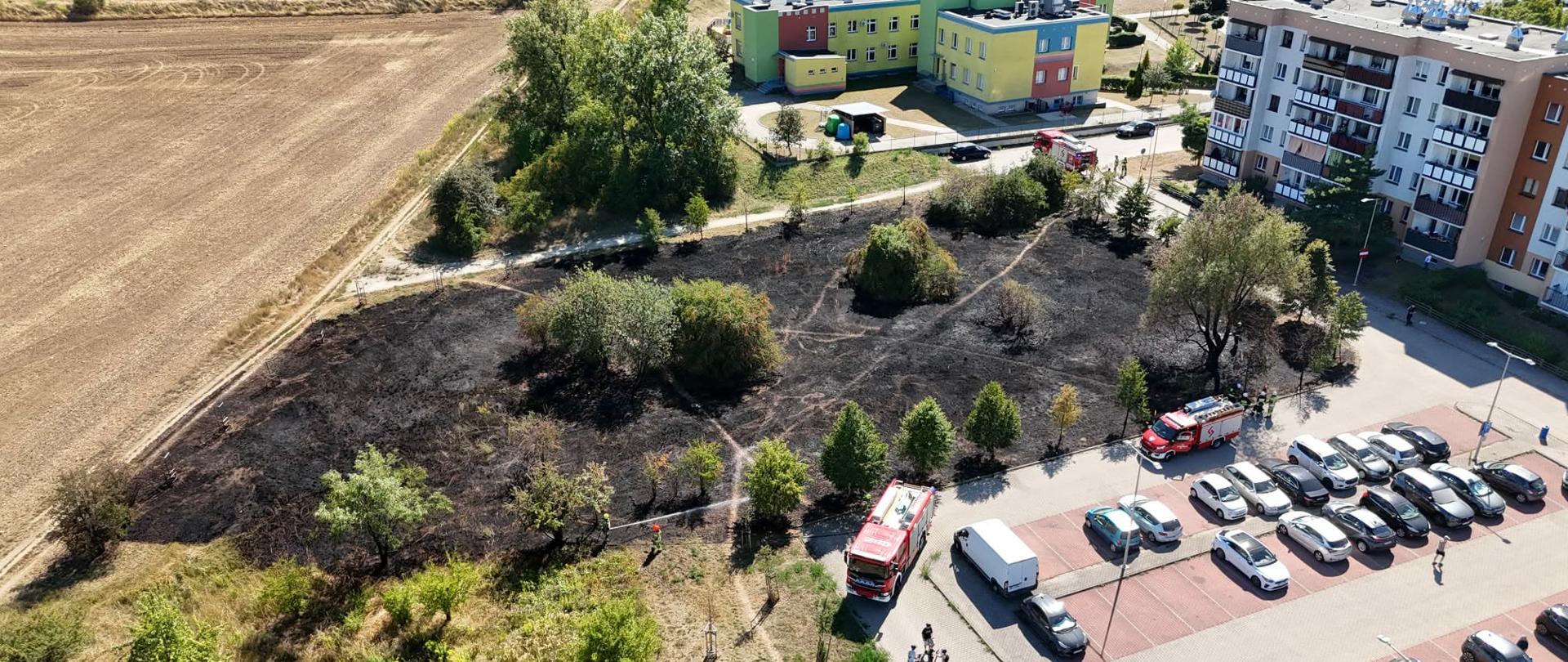 Na zdjęciu lotniczym widoczny jest teren po pożarze nieużytków w pobliżu zabudowań mieszkalnych i parkingu. Na miejscu pracują zastępy straży pożarnej, a spalony obszar obejmuje trawę, krzewy i część zadrzewienia.