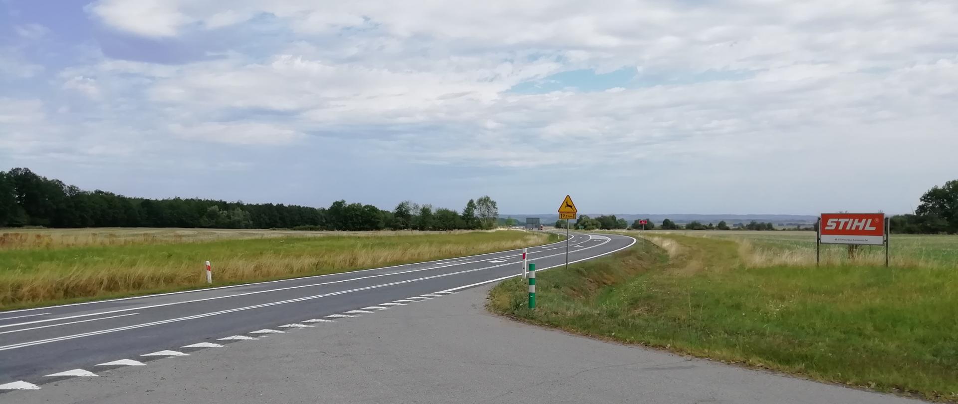 Fragment DK46 na odc. granica województwa - obwodnica Kamienicy Paczków