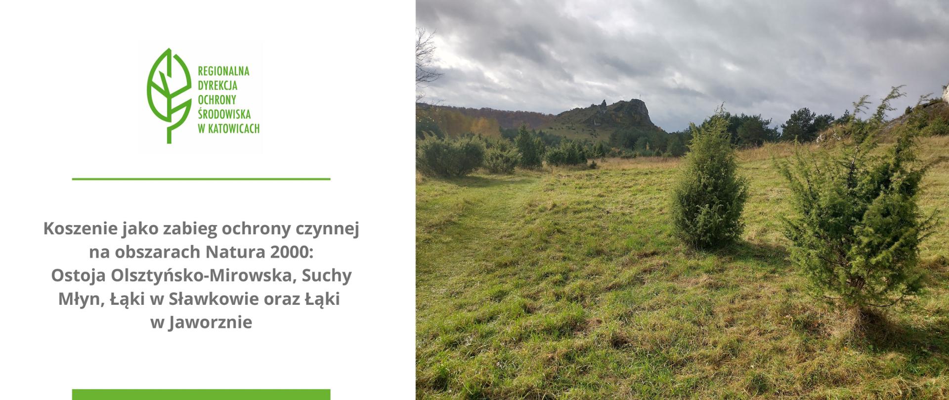 Koszenie jako zabieg ochrony czynnej na obszarach Natura 2000 - zdjęcie z treścią