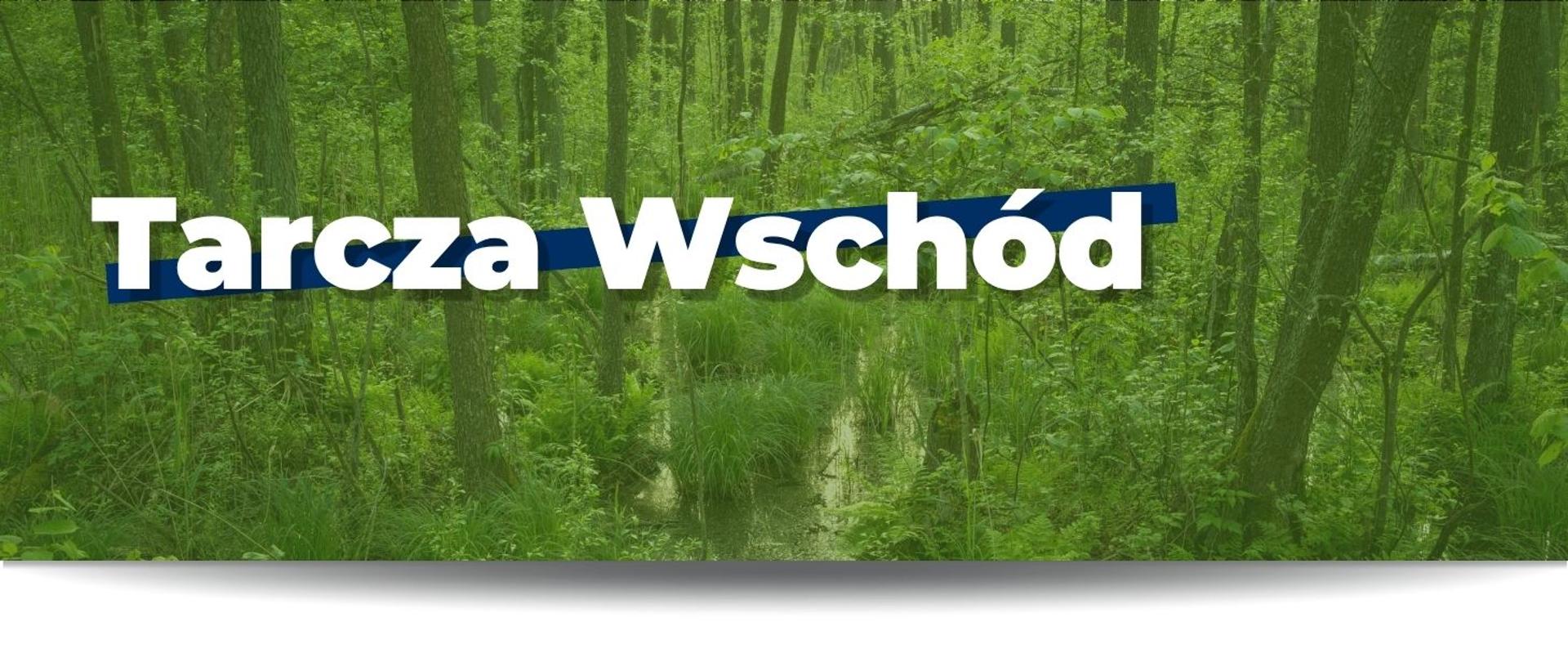 na zdjęciu widnieje napis Tarcza Wschód. Na drugim planie widać zielony, polski las. 