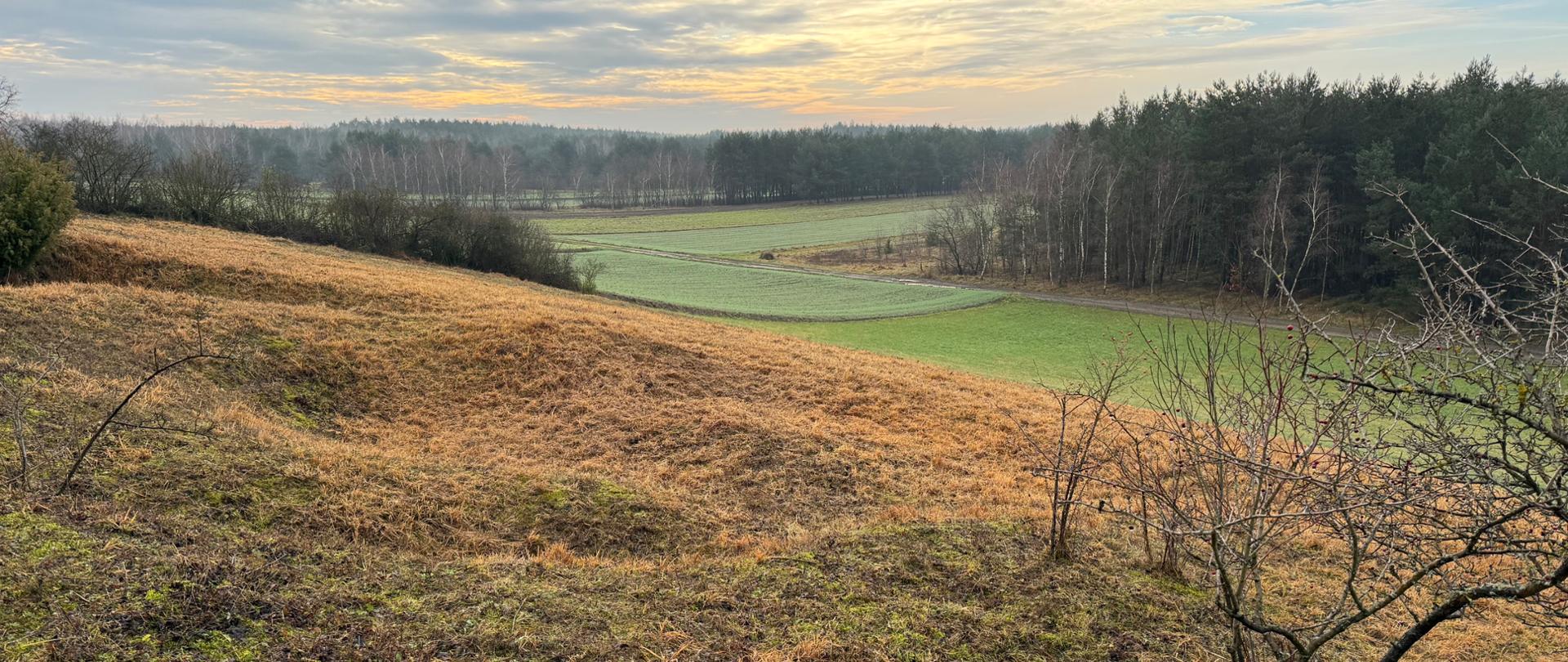 Lekko pagórkowaty teren z suchą, żółtobrązową trawą na pierwszym planie. W tle zielone pola oraz linia drzew. Nad nimi pochmurne niebo. 