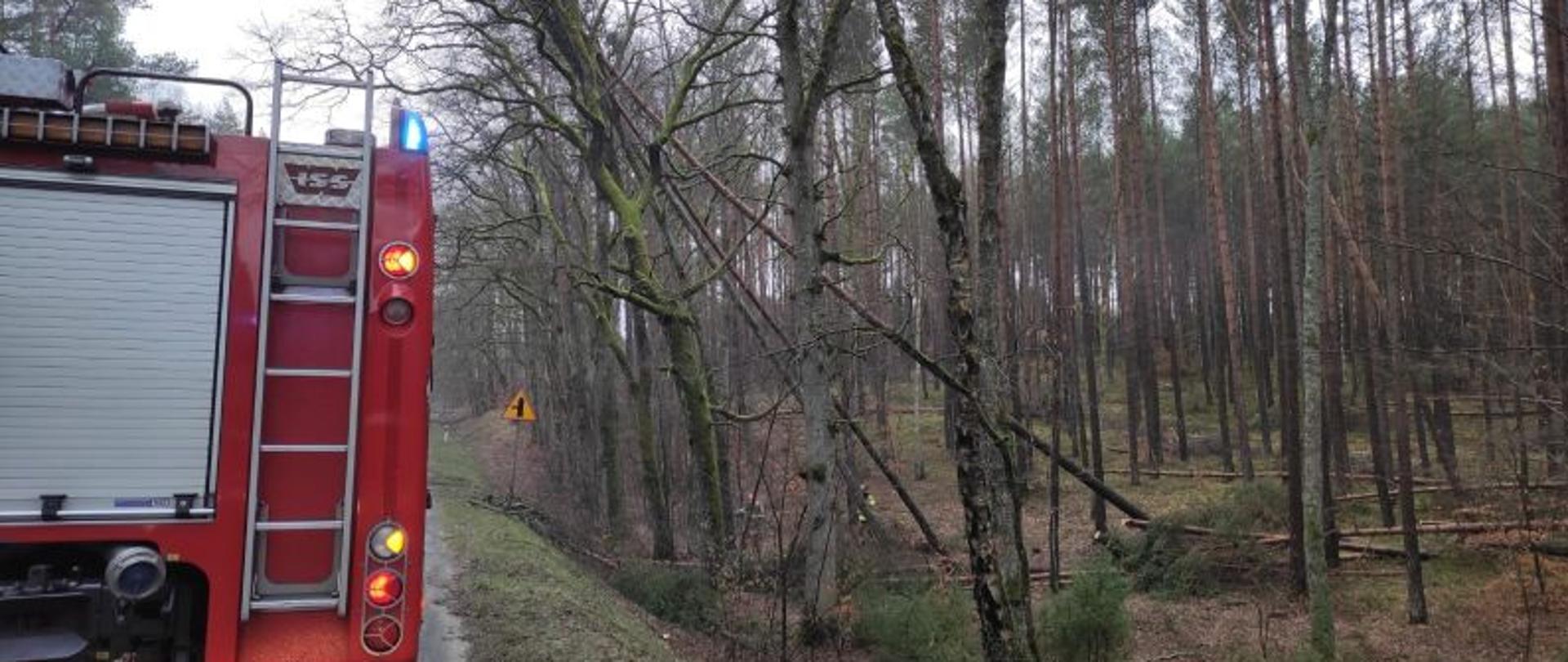 Po lewej stronie zdjęcia widoczny tył pojazdu gaśniczego. Zdjęcie zrobione z bliska, można rozpoznać elementy tylnej części pojazdu. Po prawej stronie od auta widoczne pochylone drzewa stwarzające zagrożenie dla ruchu drogowego.