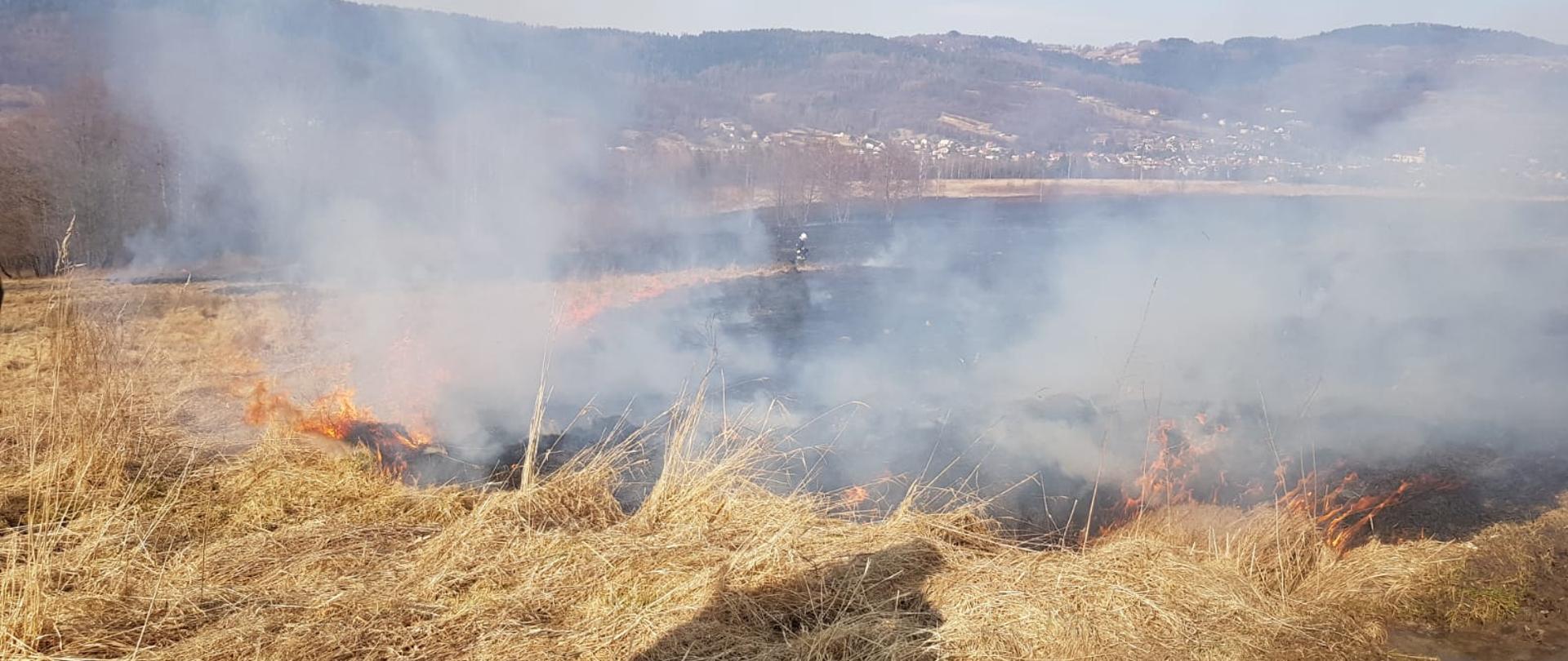 Zdjęcie przedstawia pożar traw w Grzechyni osiedle Zagórze
