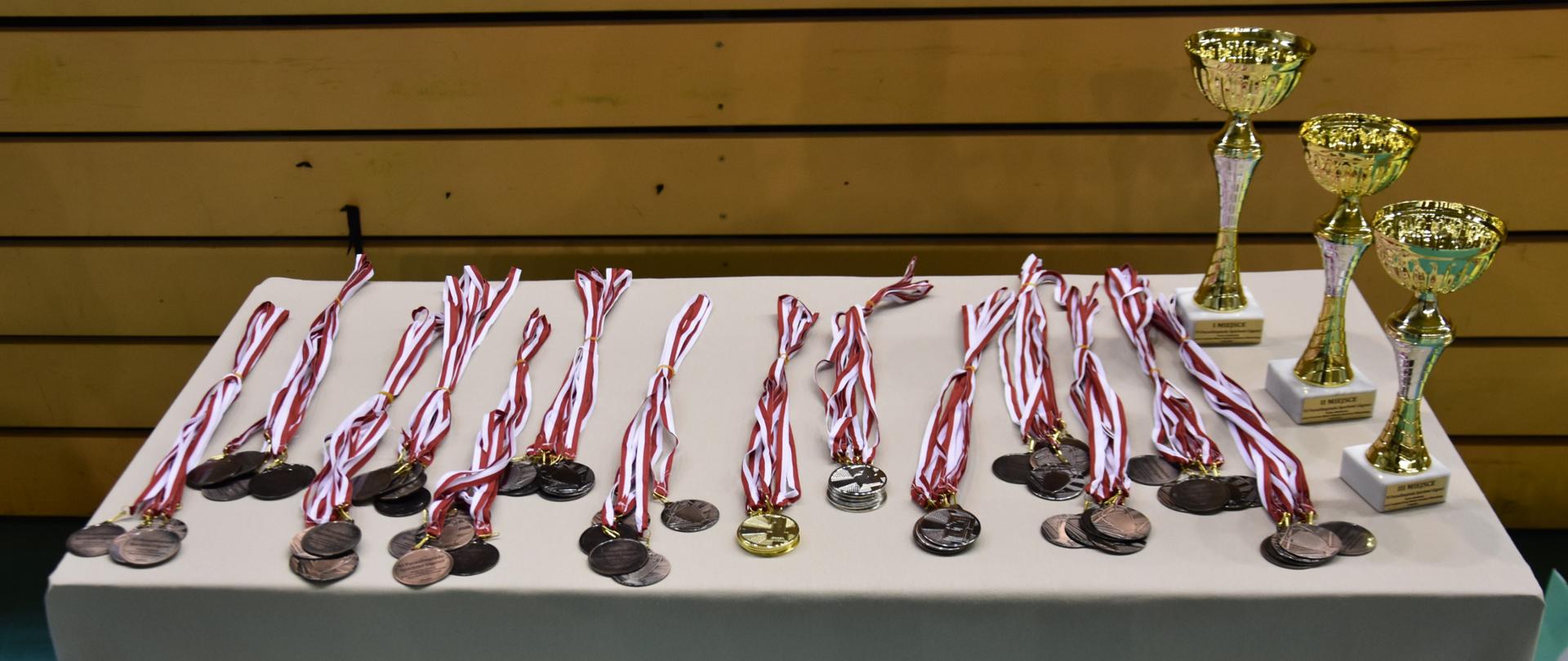 Sportowi Giganci – VI edycja Paraolimpiady w Radomiu