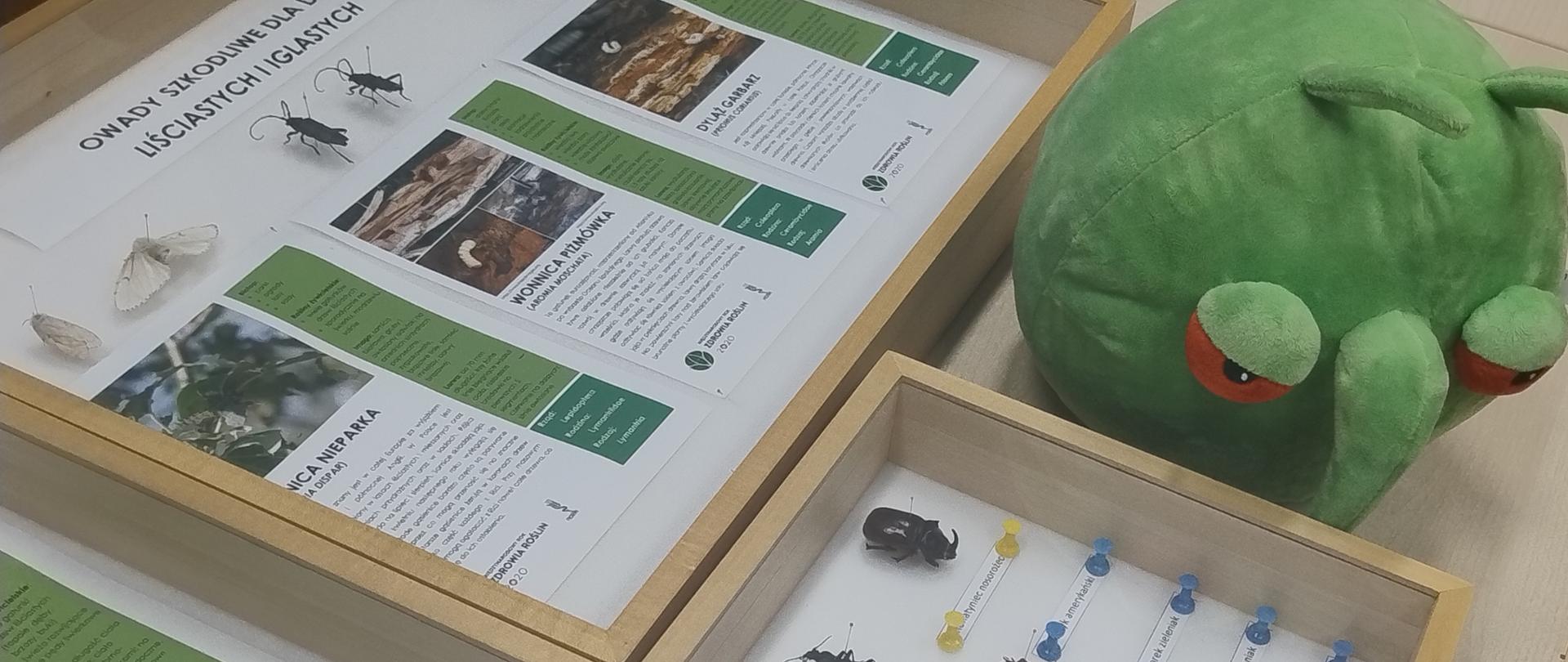 Zdjęcie przedstawia gabloty z eksponatami